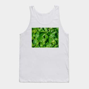 Basil Tank Top